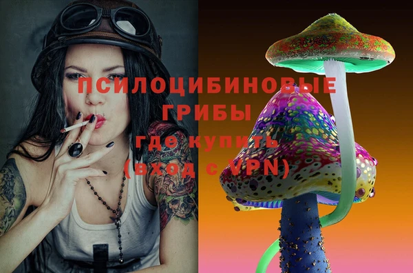 гидропоника Алзамай