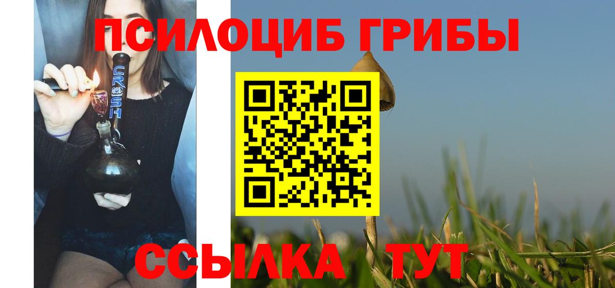 Галлюциногенные грибы Cubensis Абакан